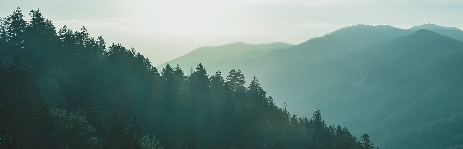 Footprints Through Time